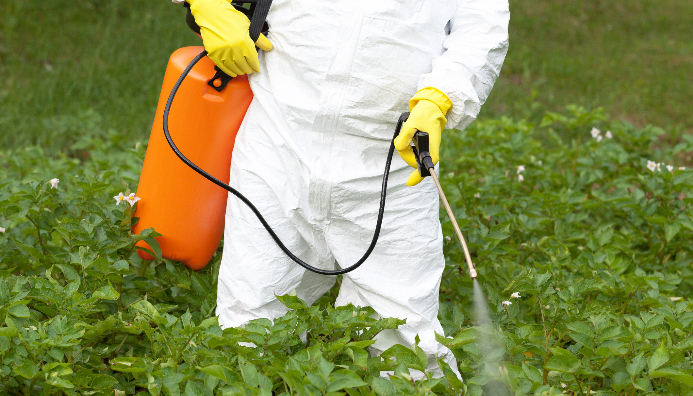 Perito En Control Fitosanitarios En Plantas, Suelo E Instalaciones